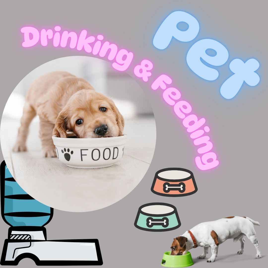 Pet Drinking & Feeding