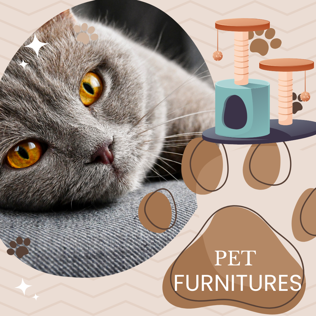 Pet Furnitures